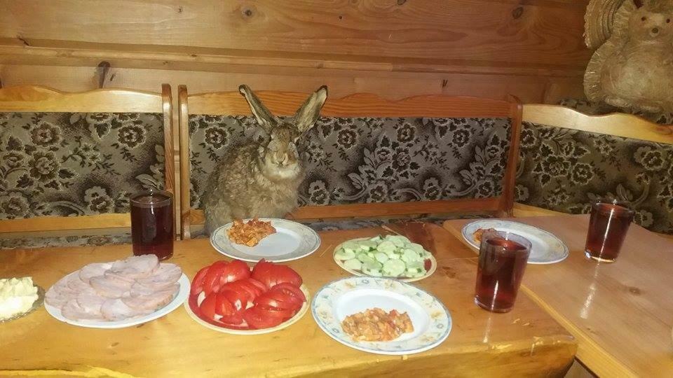 Goralska Czarcia Chata Pod Jalowcem Stryszawa Extérieur photo